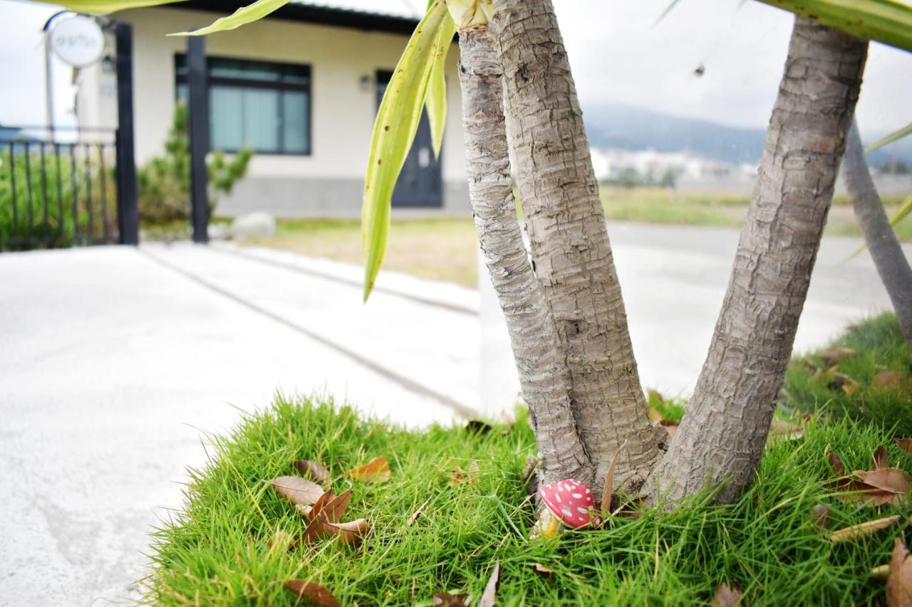 Rural Scenery Villa Taitung المظهر الخارجي الصورة