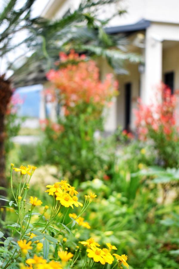 Rural Scenery Villa Taitung المظهر الخارجي الصورة